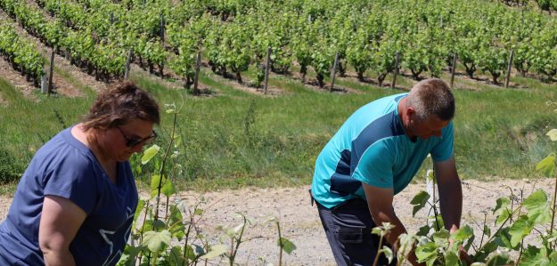 Domaine du Tartemain