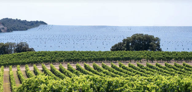 Domaine Terre Vecchia