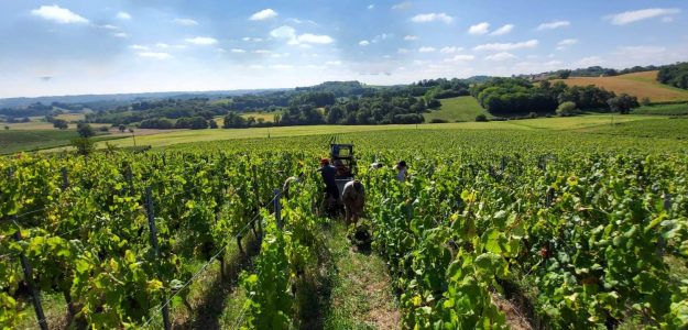 Domaine Famille Laplace