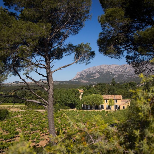 Domaine le loup bleu